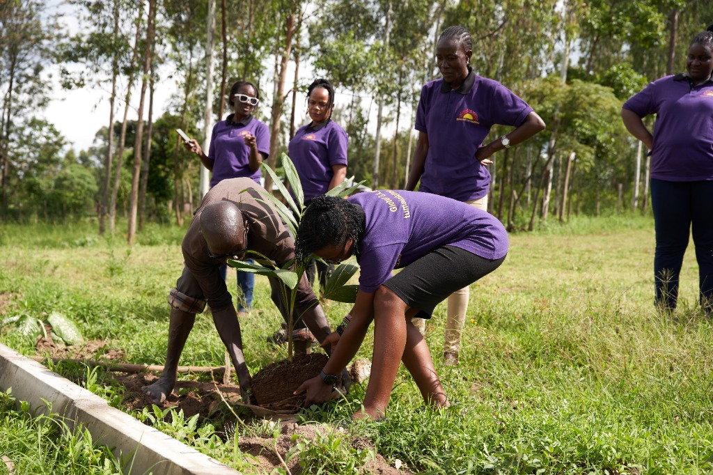 Environmental Conservation
