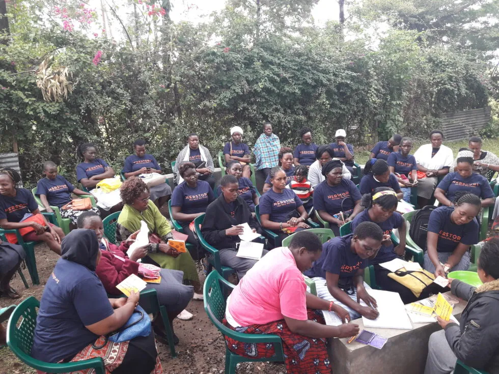 Community group meeting under a large acacia tree